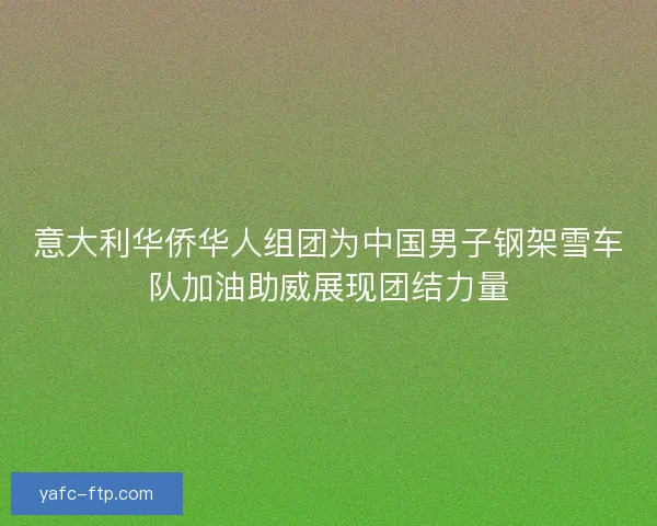 意大利华侨华人组团为中国男子钢架雪车队加油助威展现团结力量